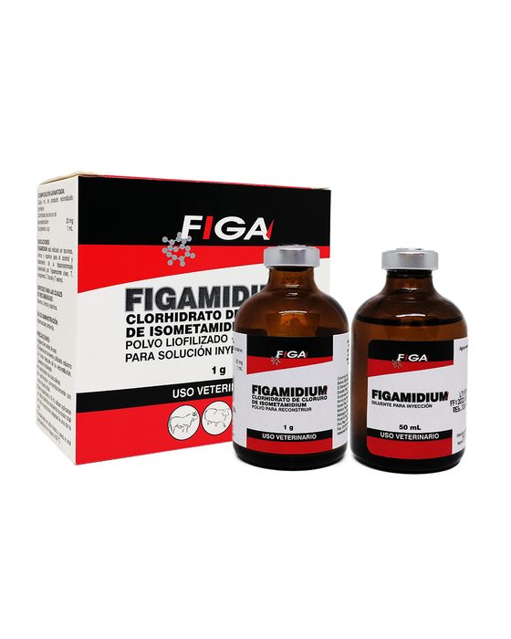 FIGAMIDIUM